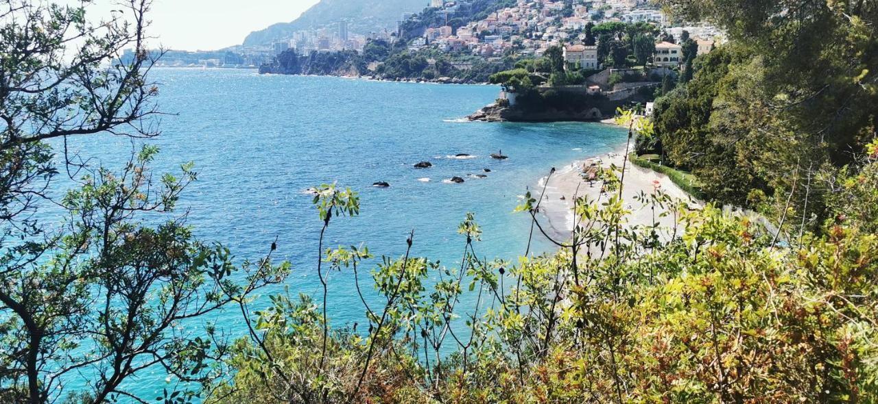 Vue magnifique avec piscine privée et sauna à 10min de Monaco Roquebrune-Cap-Martin Extérieur photo